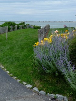 Cape Cod House - Image 4